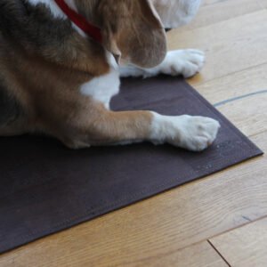 hundematte, teppich edelschokolade aus kork, veganes korkleder, nachhaltiges korkteppich